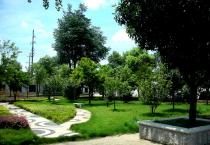 成都市工業(yè)園區(qū)綠化